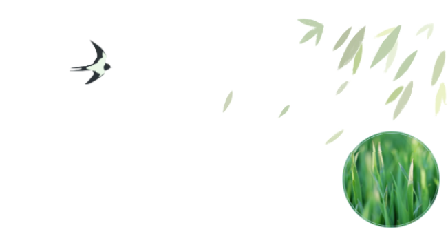 员工随笔丨抗“疫”过年，，，各人都还好吗？