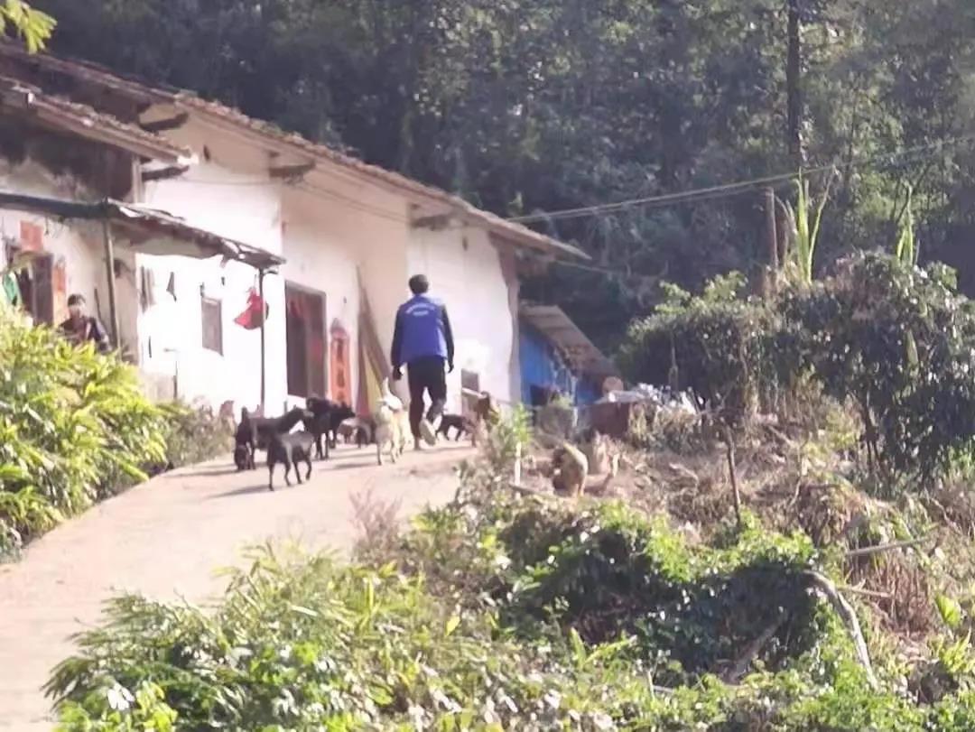 阳春房地一体项目纪实丨无悔青春多砥砺，，，最是奋斗感人心