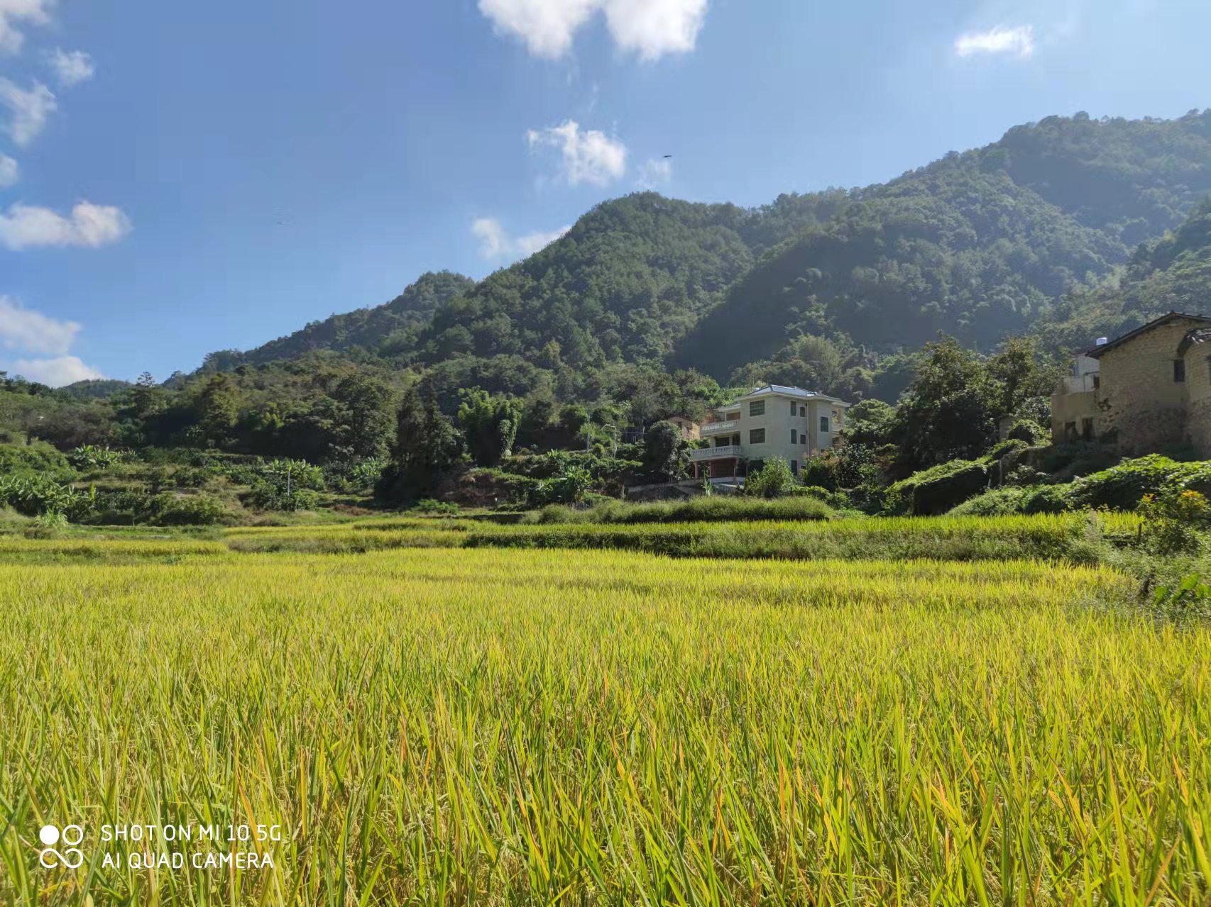 恢复（增补）耕地项目怎么干？？j9数字站有话说