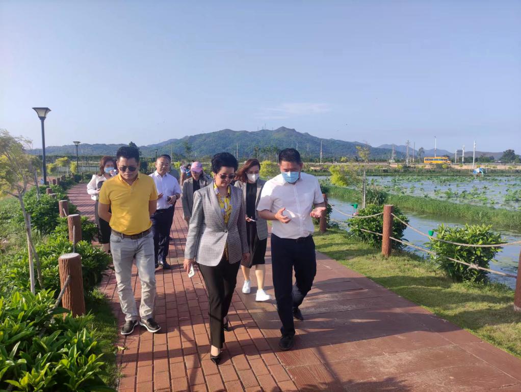 省生态修复协会轮值会长单位j9数字站集团带队赴汕尾全域土地整治军民融合试点项目调研