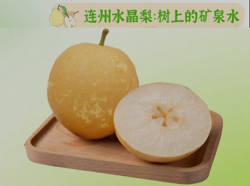 “桃李”酷暑，清凉一夏