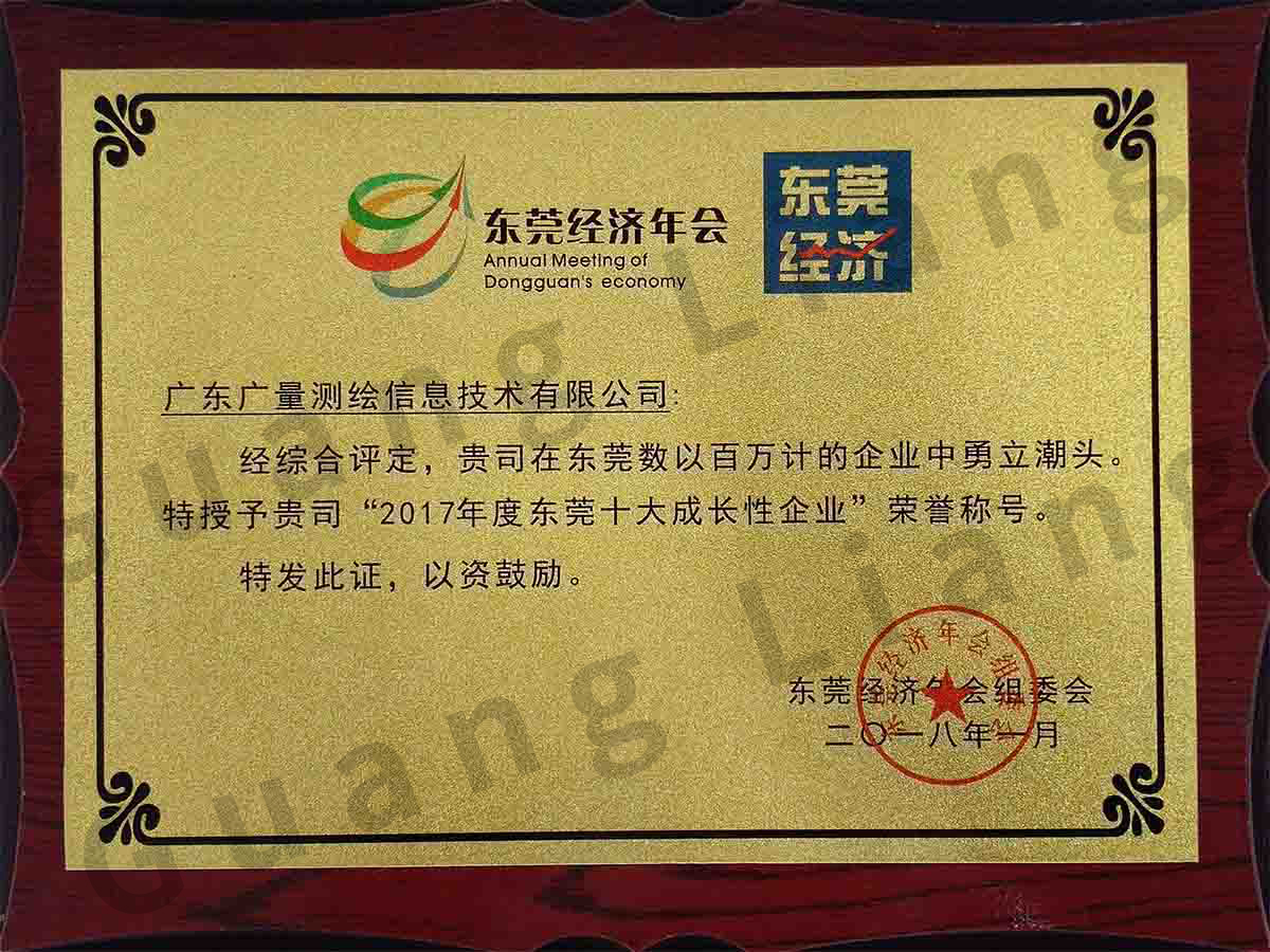 东莞十大生长性企业