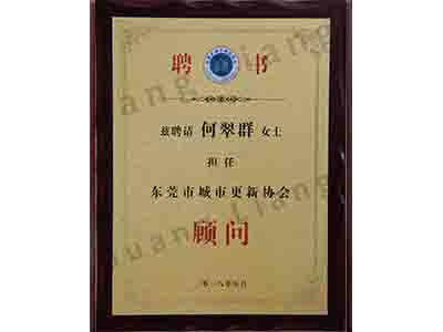 东莞市都会更新协会照料