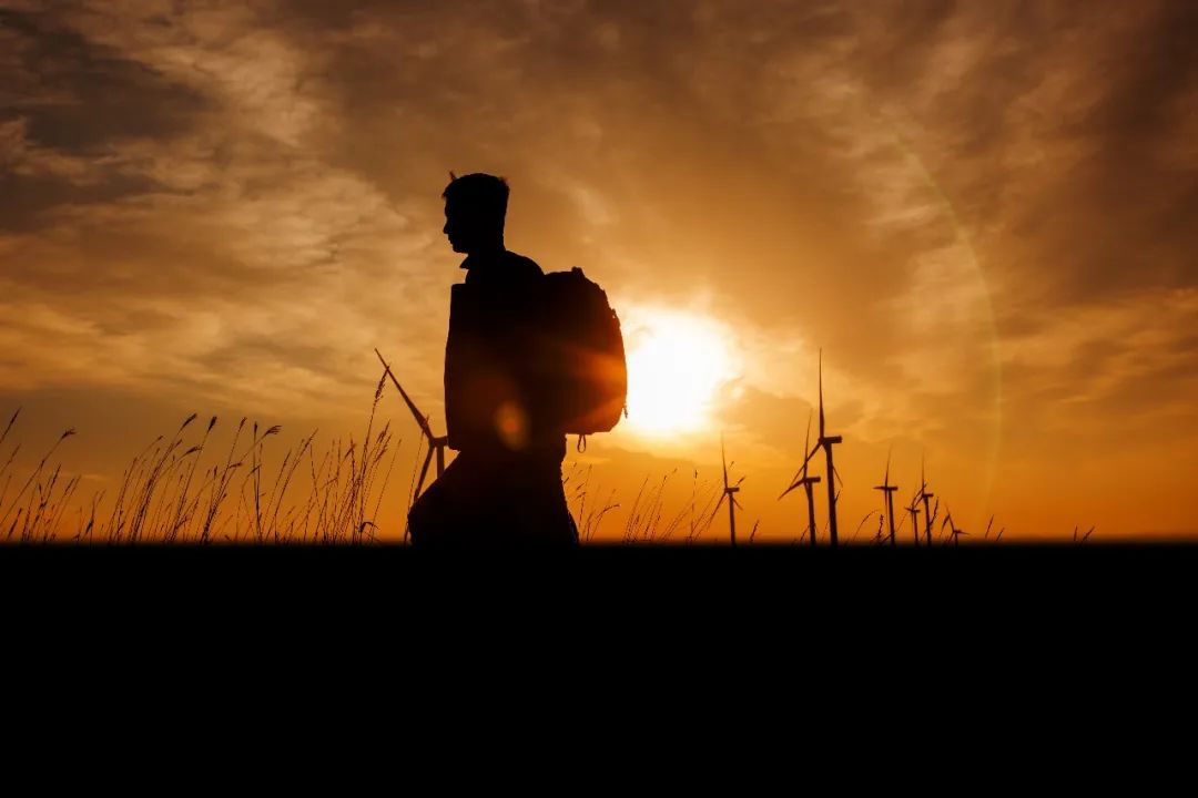 j9数字站12周年征文丨一等奖《此心安处是吾乡》