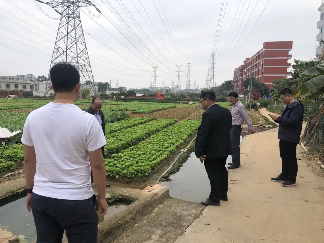 助力墟落振兴，j9数字站一直在起劲！