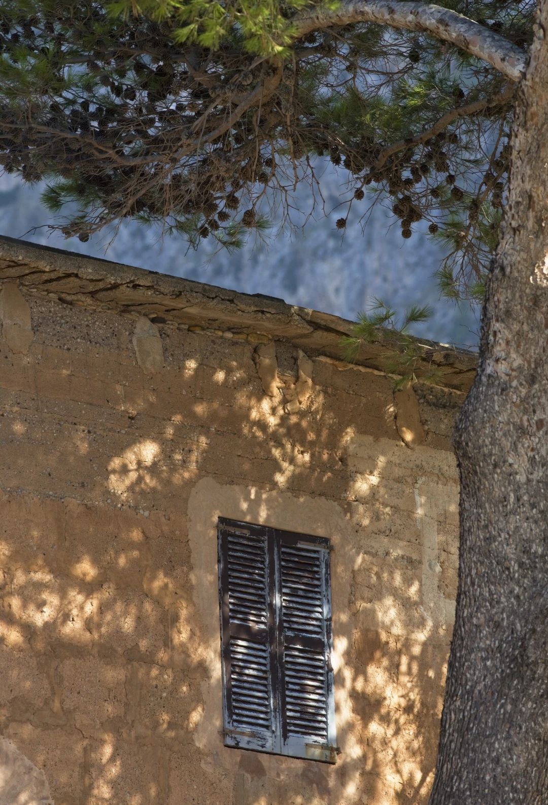 节日丨315特辑：给老屋子的情书！！！