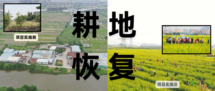 耕地；び刖蒙す踩凇甘泻窠终蛩谏缜读继锵钅扛鼗指从氤窍缛诤系牧⒁焓导