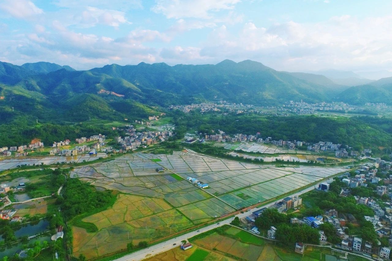 j9数字站集团丨“百万万工程”显实效：云浮罗定泗纶镇以全域土地综合整治为抓手，，绘就墟落振兴新画卷